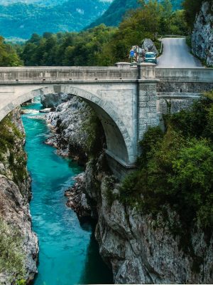 Vestibulum Feleifend Aligula Drisus